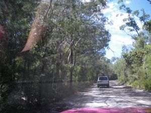 Fraser Island 2