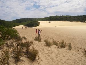 Fraser Island 22