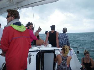 Whitsunday 5