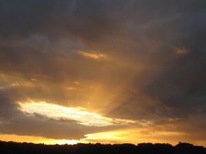 IMG 2949-copie-1