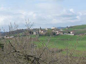 R1103290014