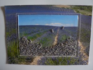 CARTES-POSTALE-SEPT-008.jpg