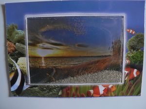 CARTES-POSTALE-SEPT-009.jpg