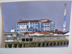 MAIN---MAMAZERTY-004.jpg