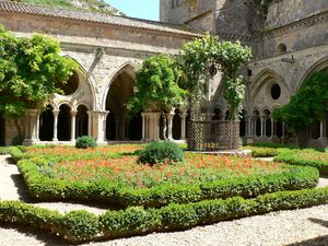 CHATEAU-CATHARES18-O7-2009-047.jpg