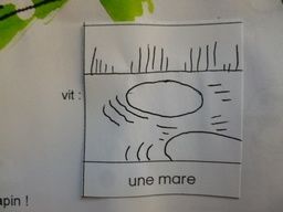 BAML une mare
