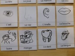 imagier visage (1)