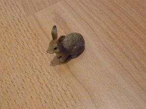 1 lapin