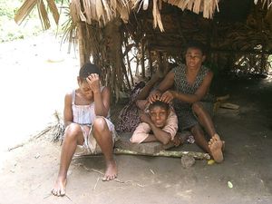 Femmes Pygméees du Cameroun