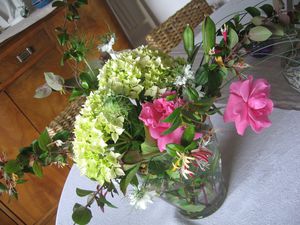 Roses, chèvrefeuille et premiers hortensias encore verts