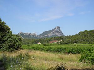 Le-Pic-St-Loup.jpg