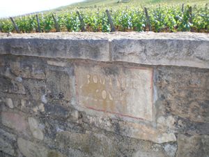 Romanée Conti