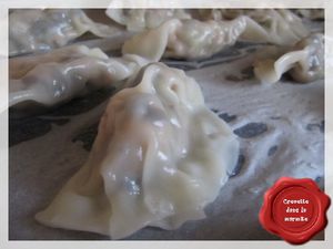 Raviolis chinois au porc6