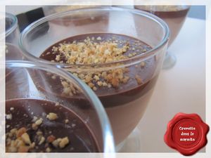 Panna Cotta au deux chocolats3