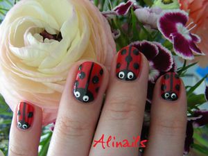 Coccinelles 2