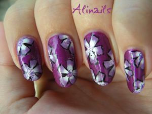 Violettes violettes 3