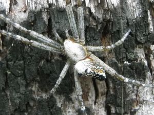 quoi dire lors de la premiere rencontre