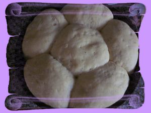 BRIOCHE-BUCHTY-APRES-REPOS.JPG