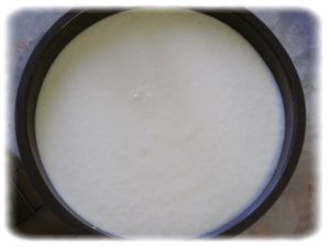 GATEAU-NOIX-COCO-AVANT-CUISSON.JPG