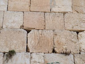 stones12