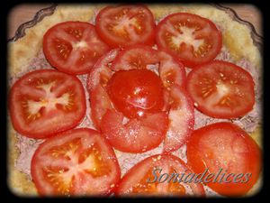 tarte-thon-tomate-tomate.jpg