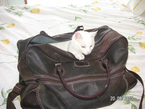 PICT0079