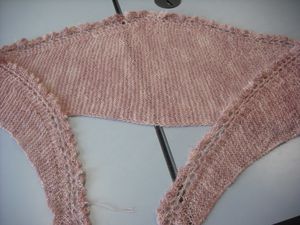 2012-11-rose.JPG
