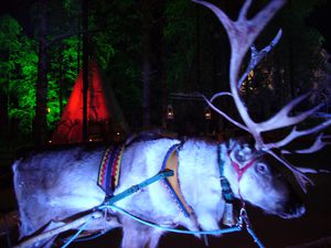 002 : Village du Père Noël, Rovaniemi