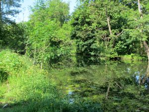 Petite ballade au bord de l'Yerres12