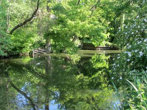 Petite ballade au bord de l'Yerres17