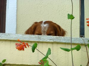 Après les vacances13