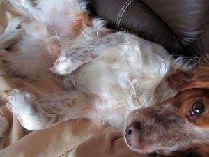 Tendresse et douceur12