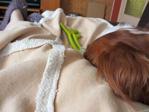 Tendresse et douceur16