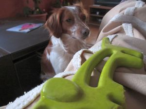 Tendresse et douceur2