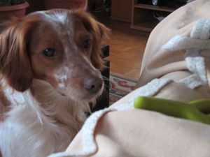 Tendresse et douceur3