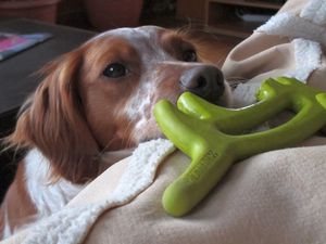 Tendresse et douceur4