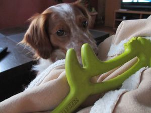 Tendresse et douceur6