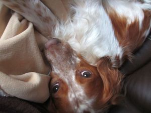 Tendresse et douceur7