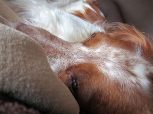 Tendresse et douceur8