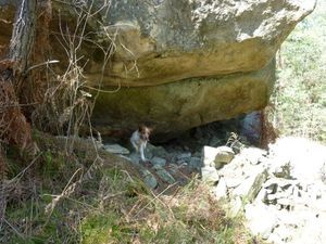 Abri des carriers des gorges du Houx