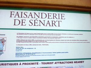 La faisanderie2
