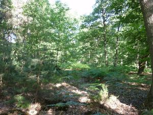 Montgeron Parcours5