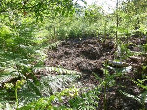 Montgeron Parcours9