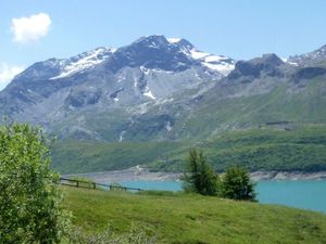 Jardin alpin6