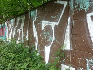 Tags en forêt8