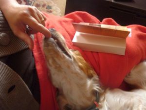 Un vendredi de chien6
