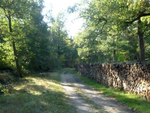 Ballade du vendredi