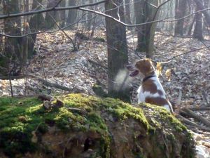 Sous le soleil de janvier5