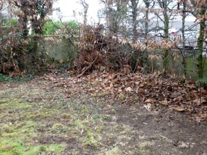 Un champs de ruines2