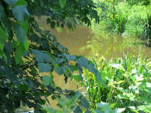 Ballade sur les bords de l'Yerres19